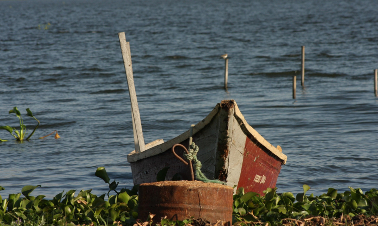 Boat Safaris in Lake Mburo National Park - Wildlife Safari Tours