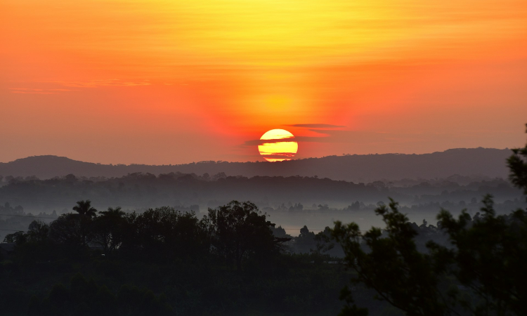 7-Day Uganda Safari - Gorillas, Chimps & Wildlife Tour